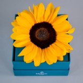 Thumbnail 8 - Bloom in a Box A Little Sunshine Gift Set