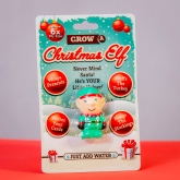 Thumbnail 1 - Grow A Christmas Elf (Singles)