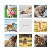 Thumbnail 5 - Personalised Dog Multi Photo and Quote Print 