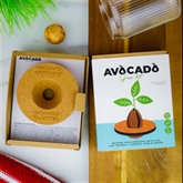 Thumbnail 2 - Avocado Grow Kit