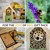 Thumbnail 1 - For The Love Of Bees Gift pack