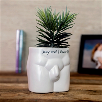 "Sexy and I Grow It" Cheeky Plant Pot