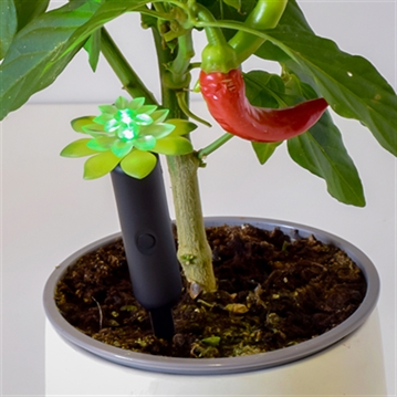 House Plant Watering Alarm