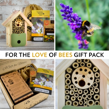 For The Love Of Bees Gift pack