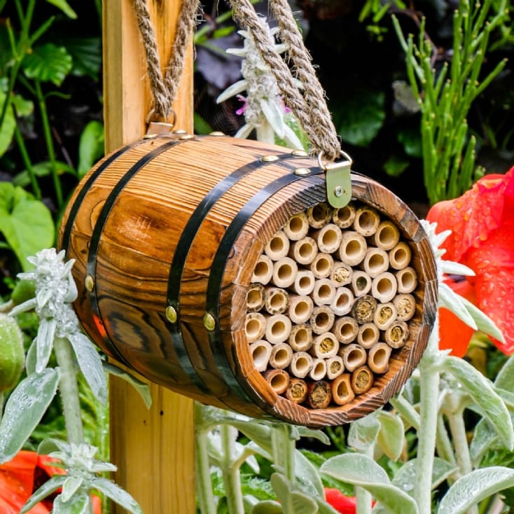 Bee Barrel