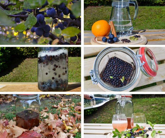 Make Your Own Botanical Gin.