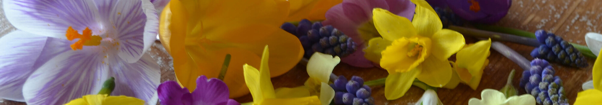 Flowers For Mum: A Spring Time Craft Tutorial Flowers For Mum: A Spring Time Craft Tutorial