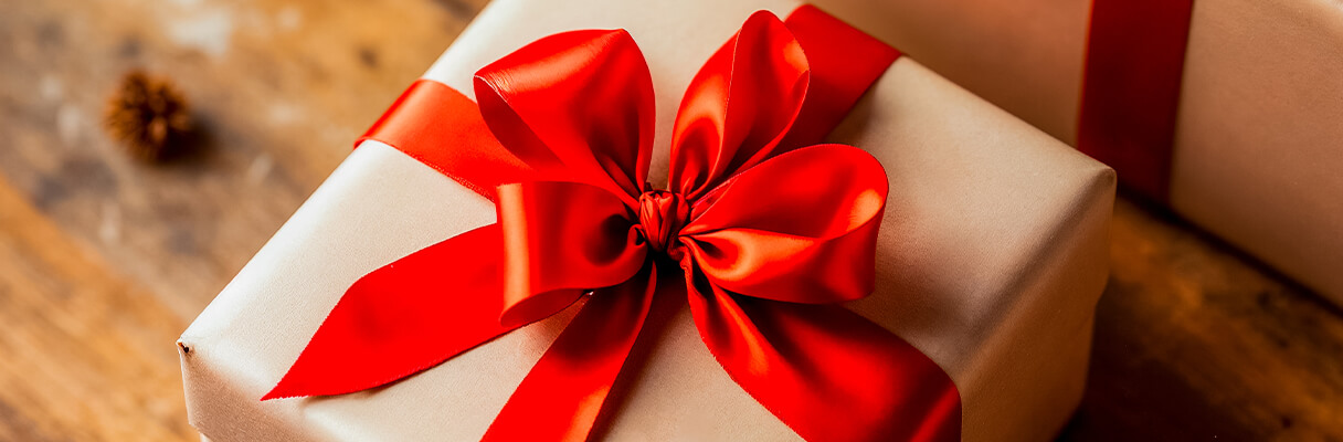 Christmas Gifts for People Who Have Everything (Including a Sense of Humour) Christmas Gifts for People Who Have Everything (Including a Sense of Humour)