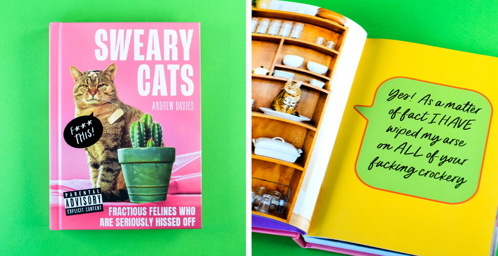 &lsquo;Sweary Cats&rsquo; funny book &ndash; collection of humorous cat memes, adult gag gift, novelty cat humour book for birthdays, holidays, or party presents