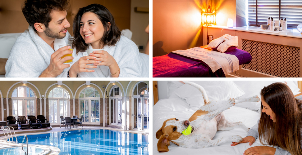 Romantic and dog-friendly hotel getaways with pools and relaxing spa massage experiences