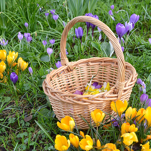 Flowers For Mum: A Spring Time Craft Tutorial