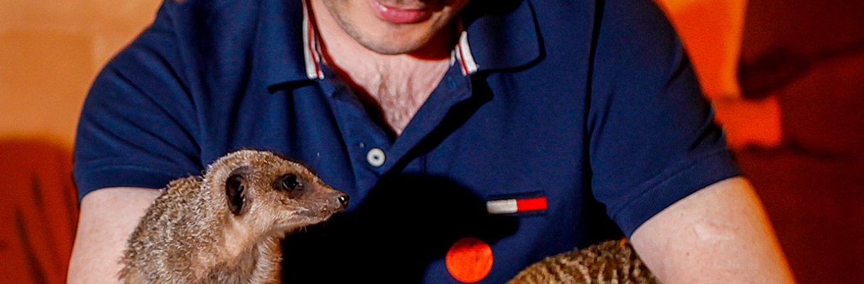 Animal Experience Days UK 2026: Best Hands-On Wildlife Encounters & Unique Animal Gifts Animal Experience Days UK 2026: Best Hands-On Wildlife Encounters & Unique Animal Gifts