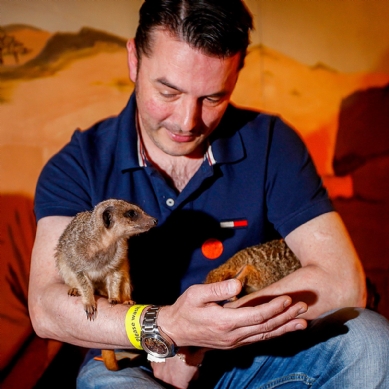 Animal Experience Days UK 2026: Best Hands-On Wildlife Encounters & Unique Animal Gifts