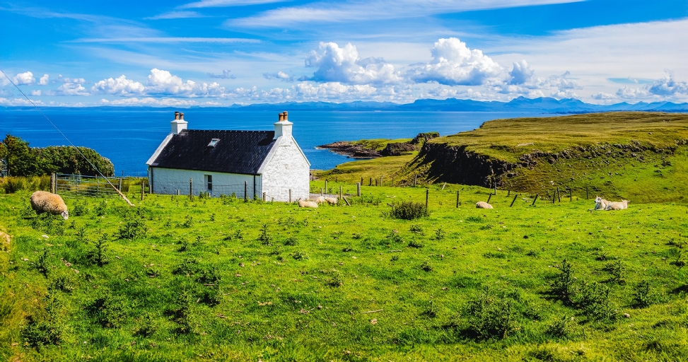 A picturesque white cottage by a vibrant blue sea with green fields and grazing sheep.