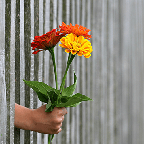 50 Random Acts of Kindness You Can Do Today