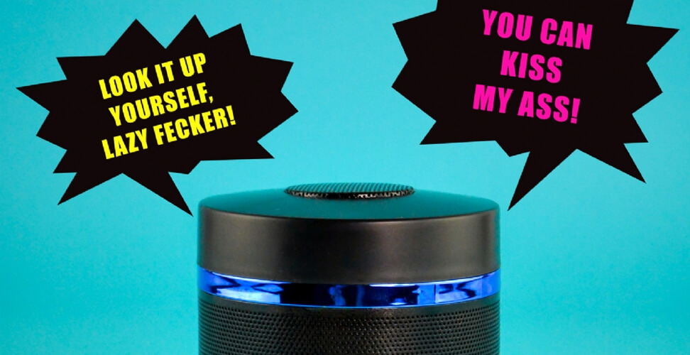 Bad Alexus speaker: Offensive novelty speaker with rude responses