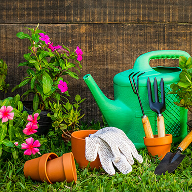 Get Wildlife Ready for Gardens Big or Small - Tips and Gifts Get Wildlife Ready for Gardens Big or Small - Tips and Gifts