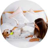 &pound129 - Dog Friendly Hotel Stay