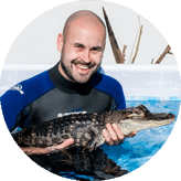 &pound119 - Swimming with Crocodiles