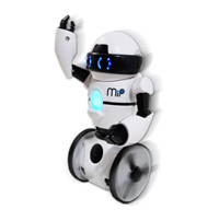 MIP Robot