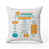 Thumbnail 12 - Personalised The Day You Were Born - 21st Birthday Cushion