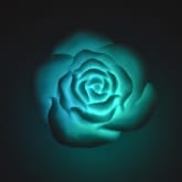 Thumbnail 3 - Floating Rose Bath Lights