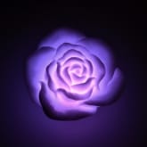 Thumbnail 4 - Floating Rose Bath Lights