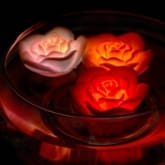 Thumbnail 5 - Floating Rose Bath Lights