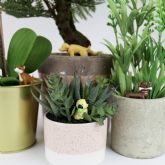Thumbnail 1 - Adorable Dogs Plant Markers