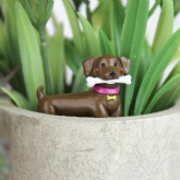 Thumbnail 2 - Adorable Dogs Plant Markers