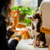 Thumbnail 5 - 3 Month Dog Treat Subscription