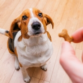 Thumbnail 6 - 3 Month Dog Treat Subscription
