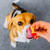 Thumbnail 8 - 3 Month Dog Treat Subscription