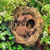 Thumbnail 6 - Animal Eco Home Choice Voucher Gift Pack
