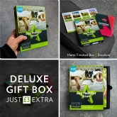 Thumbnail 2 - Dog Friendly Hotel Stay 