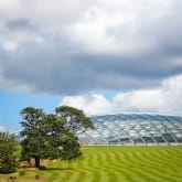 Thumbnail 7 - Afternoon Welsh Tea with Prosecco in The Iconic Great Glasshouse for Two