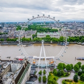 Thumbnail 4 - London Eye and Lunch Cruises