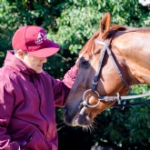 Thumbnail 1 - Harraton Court Stables Tour for Two with Darryll Holland