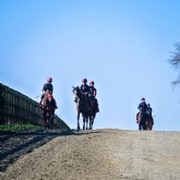 Thumbnail 4 - Harraton Court Stables Tour for Two with Darryll Holland