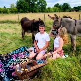 Thumbnail 1 - Donkey Picnic for Two at Dashing Donkeys