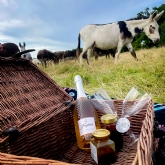 Thumbnail 4 - Donkey Picnic for Two at Dashing Donkeys