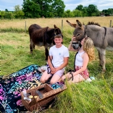 Thumbnail 1 - Donkey Picnic for Two at Dashing Donkeys