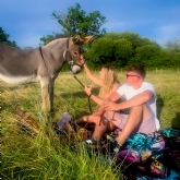 Thumbnail 2 - Donkey Picnic for Two at Dashing Donkeys