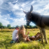 Thumbnail 3 - Donkey Picnic for Two at Dashing Donkeys