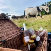 Thumbnail 4 - Donkey Picnic for Two at Dashing Donkeys