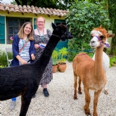 Thumbnail 1 - Meet & Greet the Alpacas