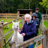 Thumbnail 6 - Meet & Greet the Alpacas