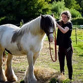 Thumbnail 3 - Pony Care Experience for Two at The Ancient Trails Company