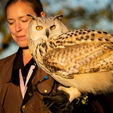 Thumbnail 1 - VIP Experience for Two at Eagle Heights Wildlife Foundation
