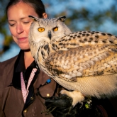 Thumbnail 2 - VIP Experience for Two at Eagle Heights Wildlife Foundation
